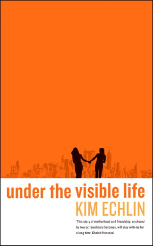 Cover art for Under the Visible Life