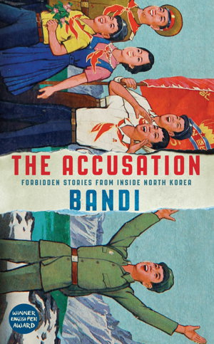 Cover art for The Accusation
