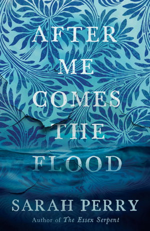 Cover art for After Me Comes the Flood
