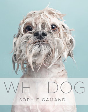 Cover art for Wet Dog