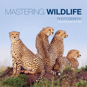 Cover art for Mastering Wildlife Photography