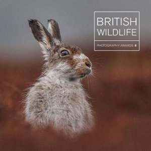 Cover art for British Wildlife Photography Awards