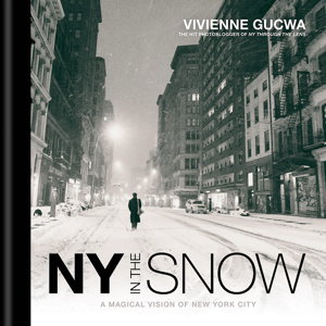 Cover art for New York In The Snow