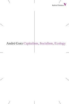 Cover art for Capitalism Socialism Ecology