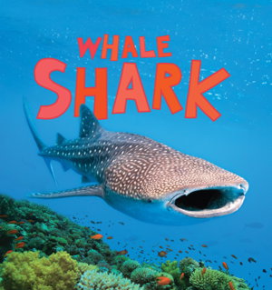Cover art for Discover Sharks: Whale Shark