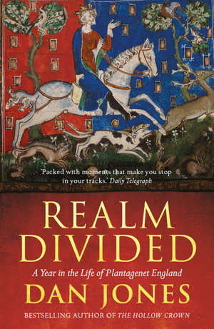 Cover art for Realm Divided