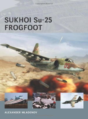Cover art for Sukhoi Su-25 Frogfoot