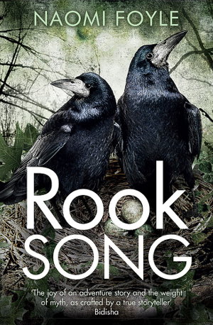 Cover art for Rook Song