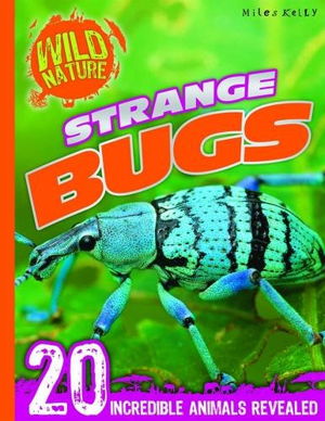 Cover art for Explore Your World Strange Bugs