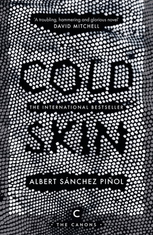 Cover art for Cold Skin