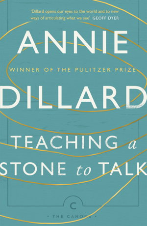 Cover art for Teaching a Stone to Talk