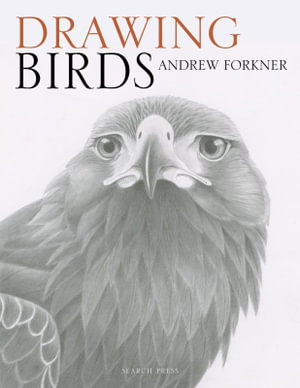 Cover art for Drawing Birds