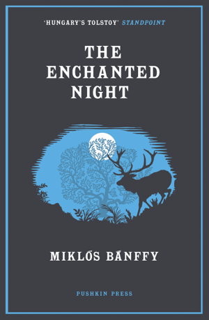 Cover art for The Enchanted Night