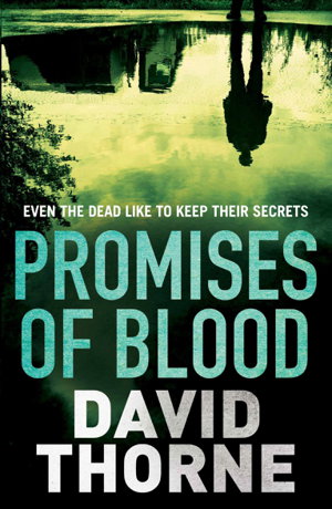 Cover art for Promises of Blood