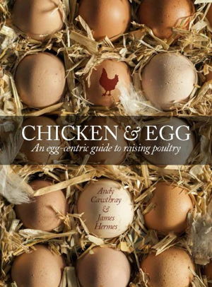 Cover art for Chicken & Egg