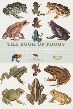 Cover art for Book of Frogs