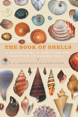 Cover art for The Book of Shells
