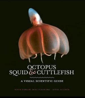 Cover art for Octopus, Squid & Cuttlefish