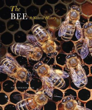 Cover art for The Bee