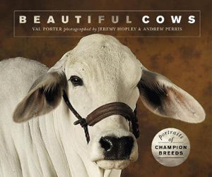 Cover art for Beautiful Cows