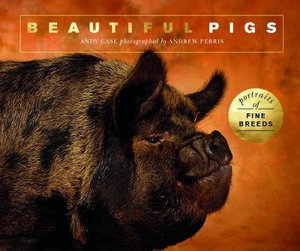 Cover art for Beautiful Pigs