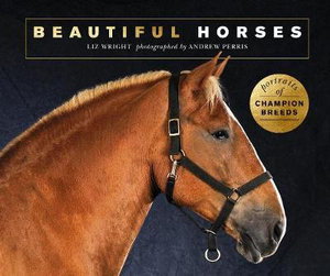 Cover art for Beautiful Horses