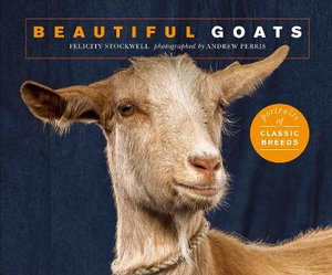 Cover art for Beautiful Goats
