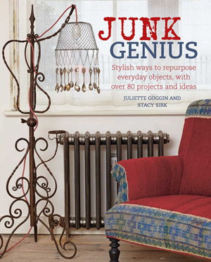 Cover art for Junk Genius