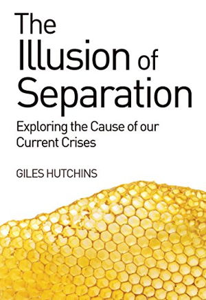 Cover art for The Illusion of Separation Exploring the Cause of Our Current Crises