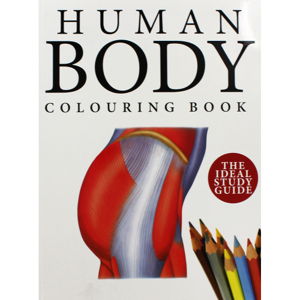 Cover art for Human Body Colouring Book