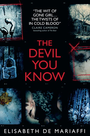 Cover art for Devil You Know