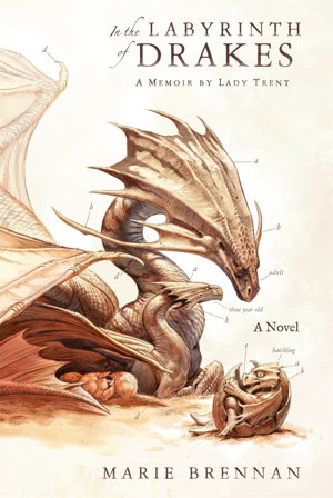 Cover art for In the Labyrinth of Drakes