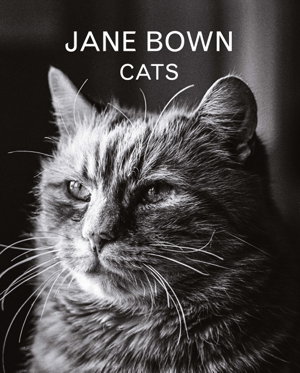 Cover art for Jane Bown Cats