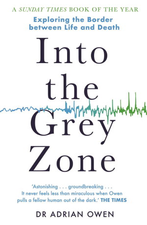 Cover art for Into the Grey Zone