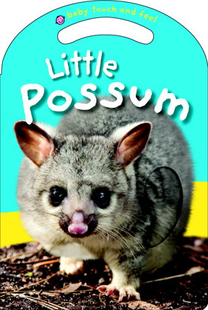 Cover art for Baby Touch and Feel Little Possum
