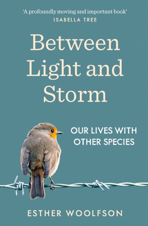 Cover art for Between Light and Storm