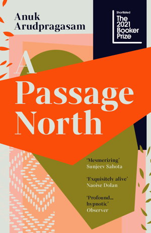 Cover art for A Passage North