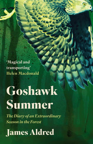 Cover art for Goshawk Summer