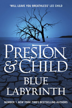 Cover art for Blue Labyrinth