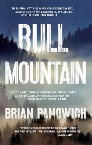Cover art for Bull Mountain