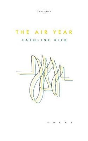 Cover art for The Air Year