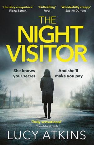 Cover art for The Night Visitor