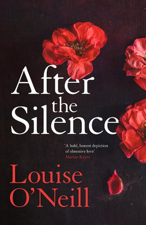Cover art for After the Silence