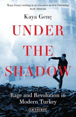Cover art for Under the Shadow