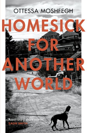 Cover art for Homesick For Another World