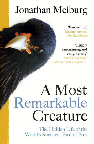 Cover art for A Most Remarkable Creature