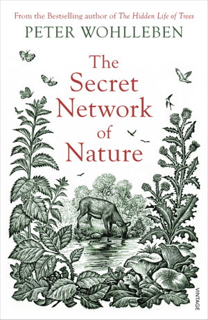 Cover art for The Secret Network of Nature
