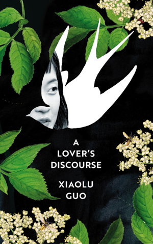 Cover art for A Lover's Discourse
