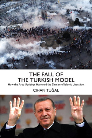 Cover art for The Fall of the Turkish Model