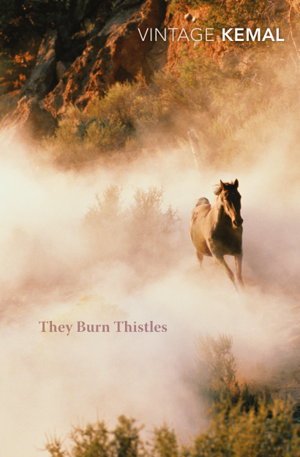 Cover art for They Burn Thistles